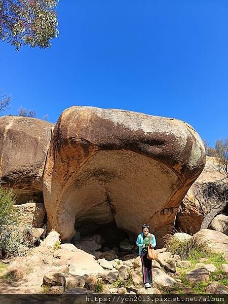 20230819河馬岩(32).jpg 20230819河馬岩(32).jpg