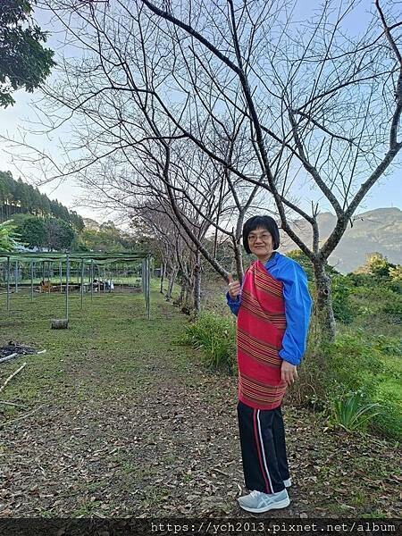 新竹五峰和平部落休閒農業園區/泰雅族