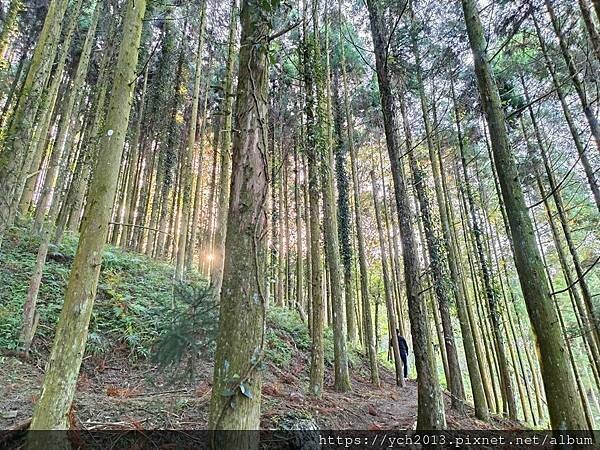 新竹五峰和平部落休閒農業園區/泰雅族
