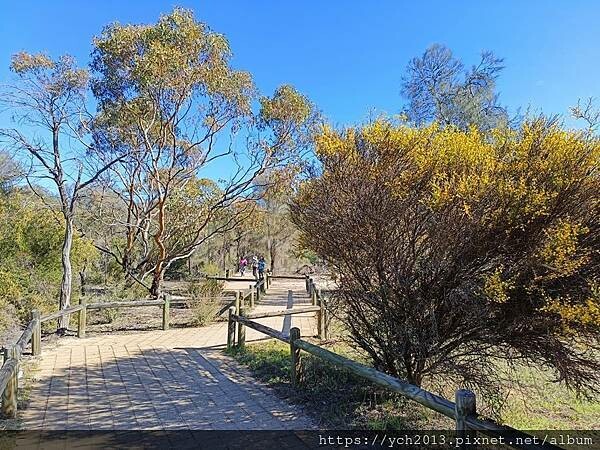 西澳景點/波浪岩Wave Rock登高望遠 西澳景點/波浪岩Wave Rock登高望遠