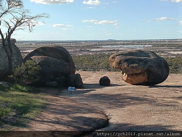 西澳景點/波浪岩Wave Rock登高望遠 西澳景點/波浪岩Wave Rock登高望遠