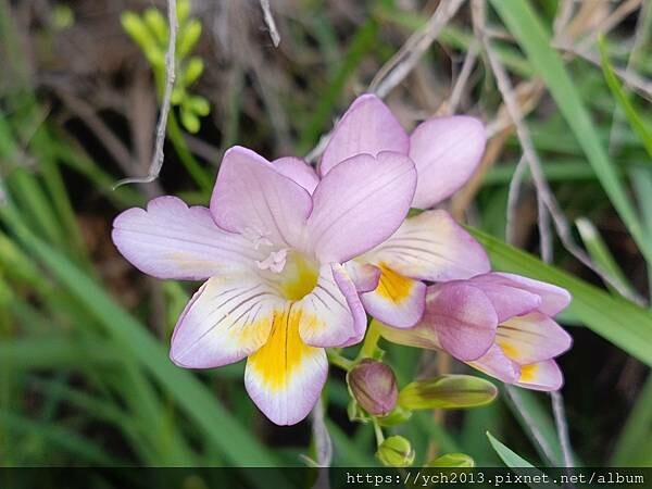 西澳景點/波浪岩Wave Rock登高望遠 西澳景點/波浪岩Wave Rock登高望遠