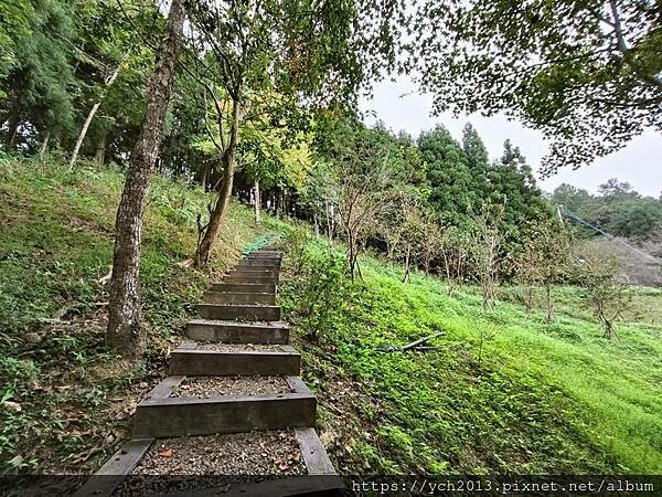 新竹五峰和平部落休閒農業園區/泰雅族