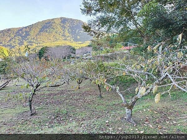 新竹五峰和平部落休閒農業園區/泰雅族