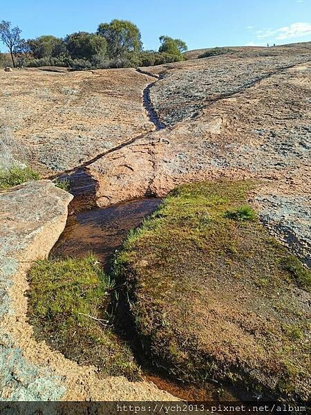 西澳景點/波浪岩Wave Rock登高望遠 西澳景點/波浪岩Wave Rock登高望遠