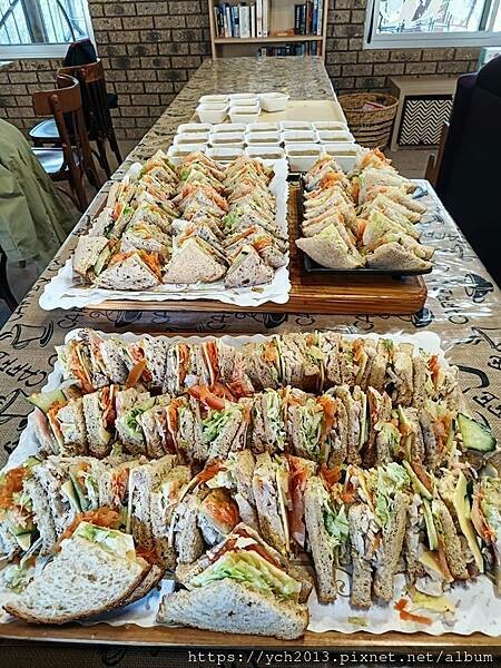 20230819河馬岩(45).jpg 20230819河馬岩(45).jpg