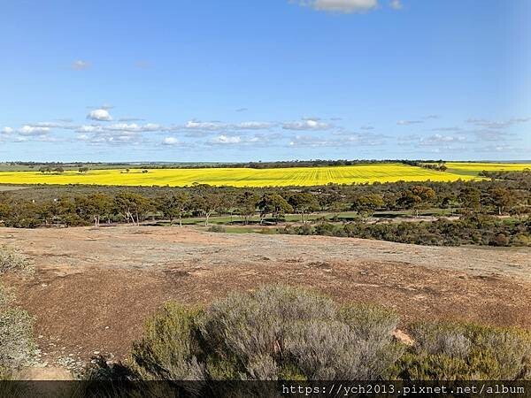 西澳景點/波浪岩Wave Rock登高望遠 西澳景點/波浪岩Wave Rock登高望遠