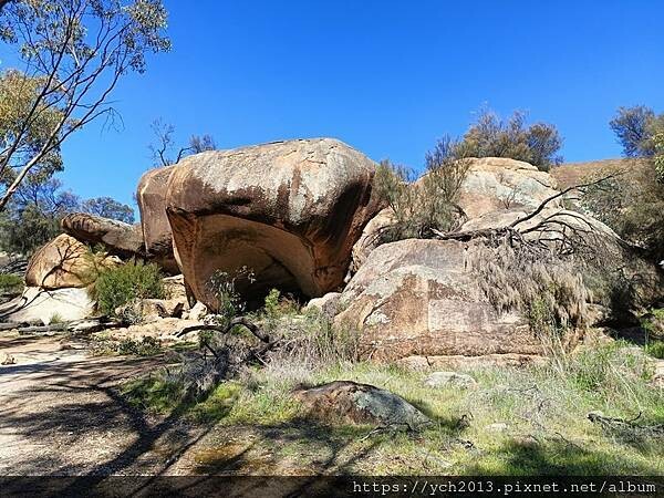 20230819河馬岩(23).jpg 20230819河馬岩(23).jpg