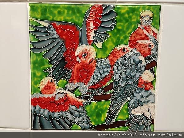 20230819河馬岩(52).jpg 20230819河馬岩(52).jpg