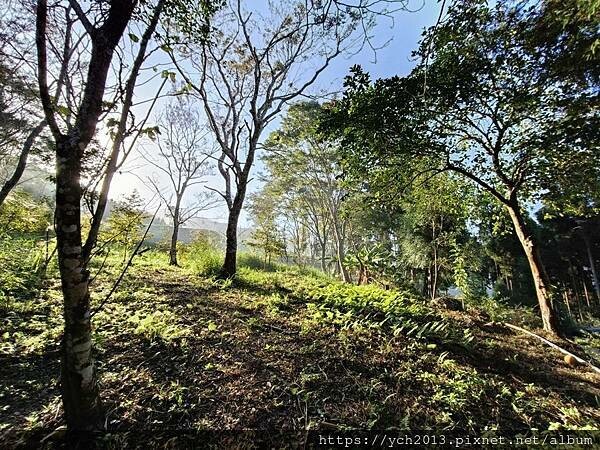 新竹五峰和平部落休閒農業園區/泰雅族