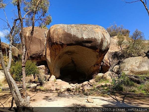 20230819河馬岩(25).jpg 20230819河馬岩(25).jpg