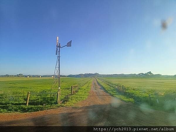 西澳旅遊／Denison港與風剪樹