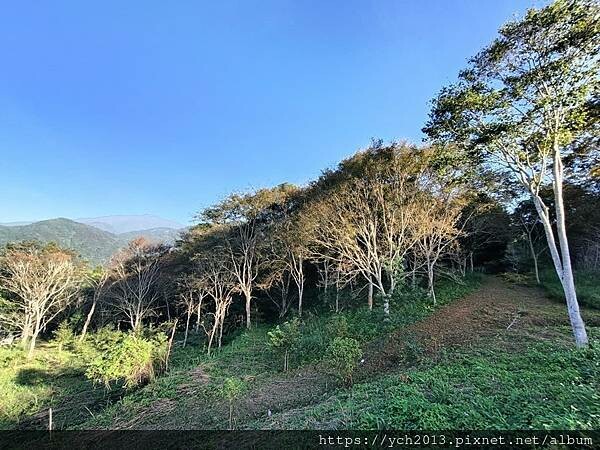 新竹五峰和平部落休閒農業園區/泰雅族