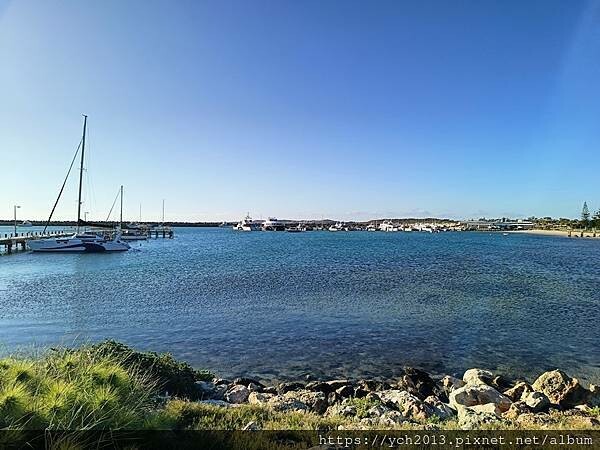 西澳旅遊／Denison港與風剪樹