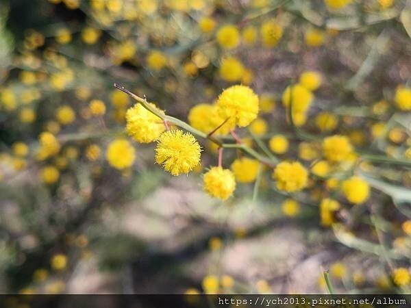 20230819河馬岩(37).jpg 20230819河馬岩(37).jpg