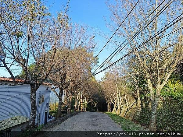 新竹五峰和平部落休閒農業園區/泰雅族