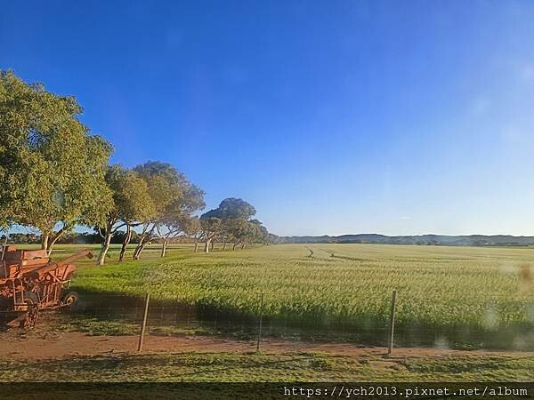 西澳旅遊／Denison港與風剪樹