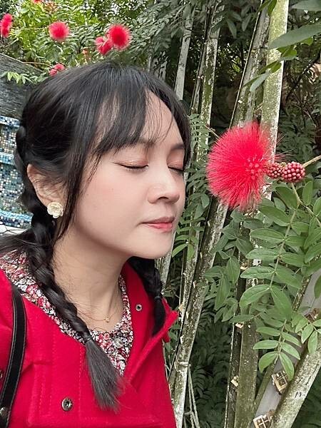 開箱｜完美日記探險家十二色眼影(13赤狐)｜茶萃波光名片唇釉