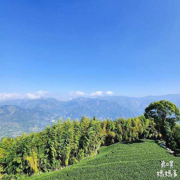 【嘉義】海鼠山1314觀景台