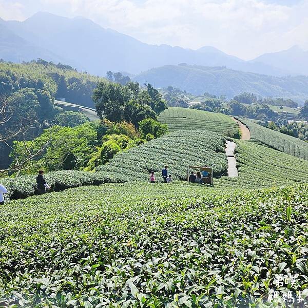 【嘉義】海鼠山1314觀景台