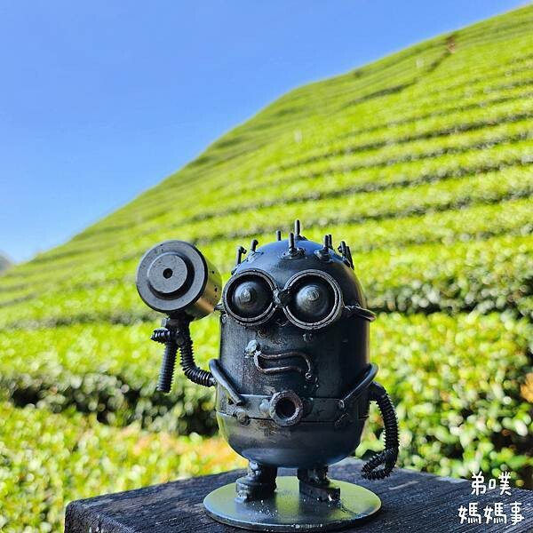 【嘉義‧梅山】走路不用5分鐘就能看到絕美山景茶園-瑞里農會旁的步道茶園，0距離茶園美拍，懶人步道好美好拍