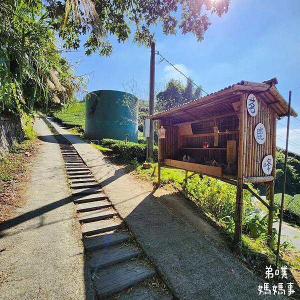 【嘉義】海鼠山1314觀景台