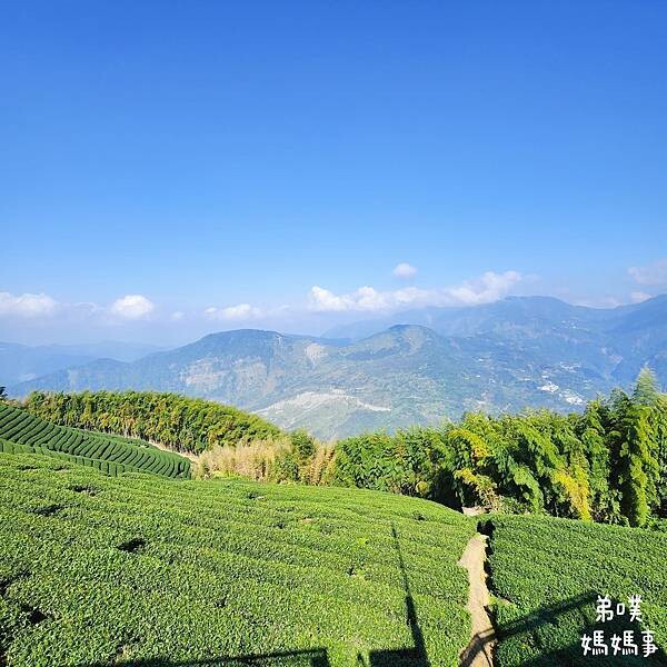 【嘉義】海鼠山1314觀景台