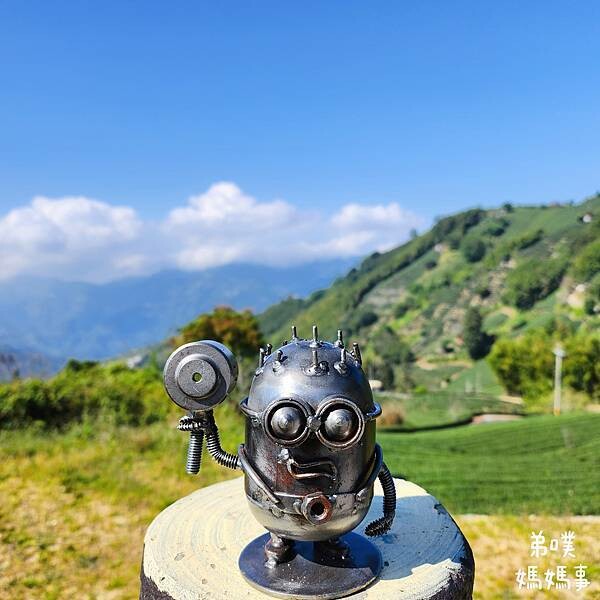 【嘉義】海鼠山1314觀景台