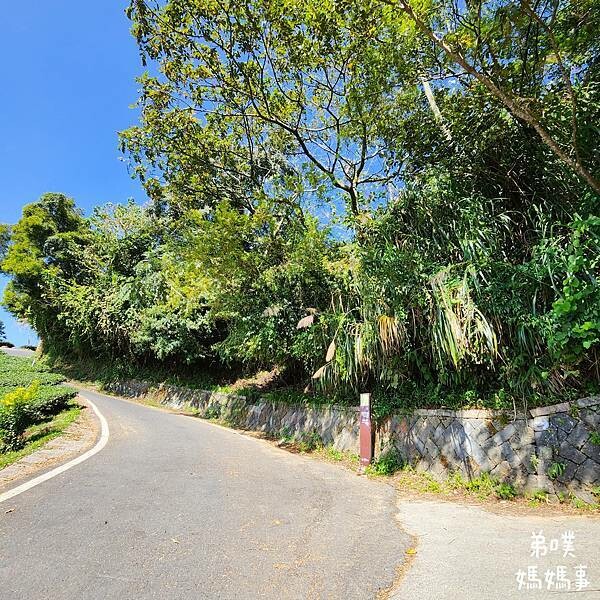 【嘉義】海鼠山1314觀景台