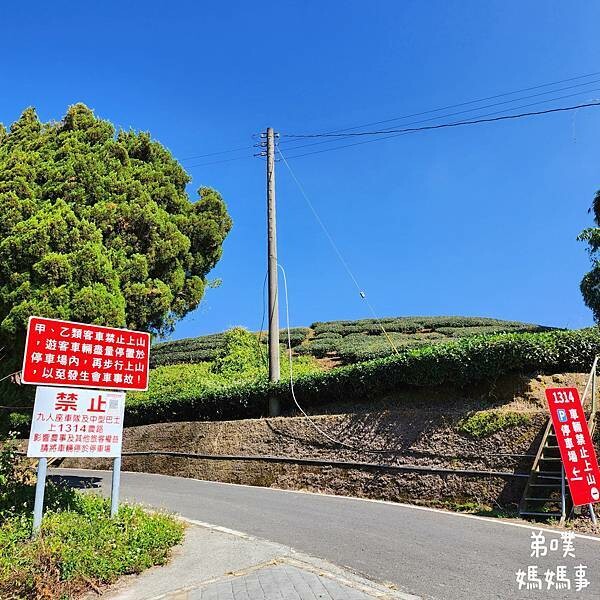 【嘉義】海鼠山1314觀景台