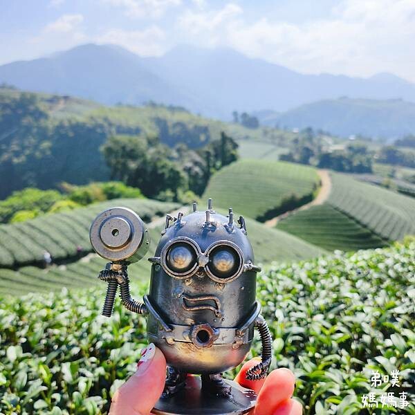 【嘉義】海鼠山1314觀景台