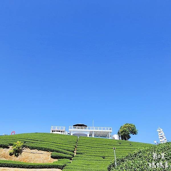 【嘉義】海鼠山1314觀景台