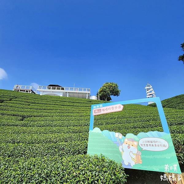 【嘉義】海鼠山1314觀景台