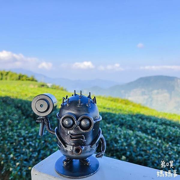 【嘉義】海鼠山1314觀景台