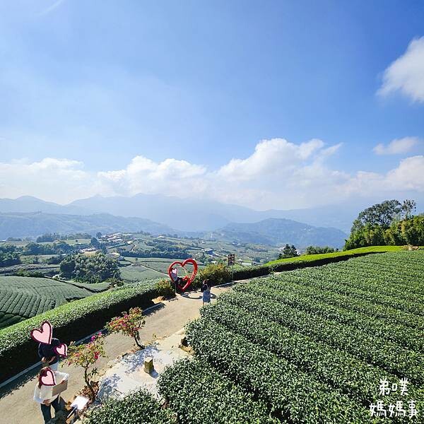【嘉義】海鼠山1314觀景台