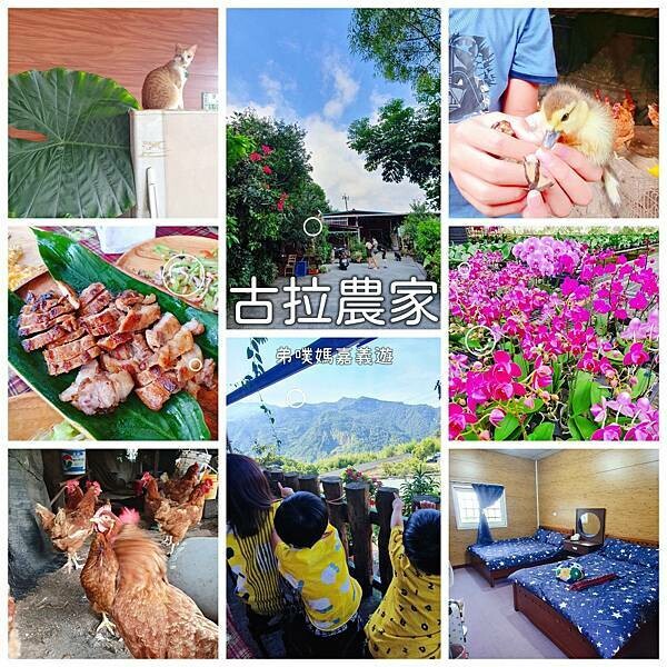 嘉義阿里山親子步道三天兩夜遊:奮起湖、石棹、二延平山步道、櫻之道、霞之道、石棹吳鳳廟、半天岩