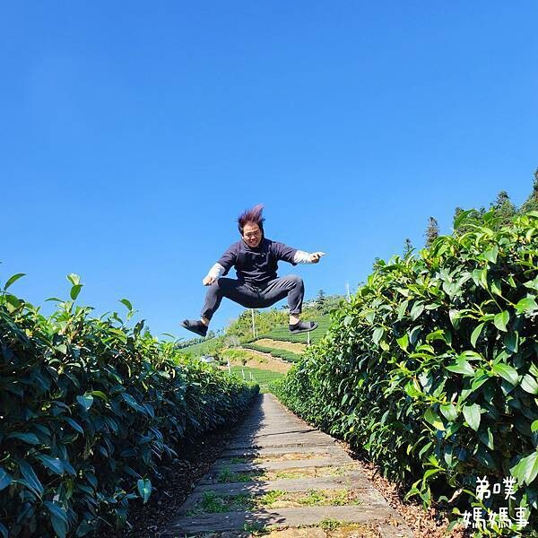 【嘉義‧梅山】走路不用5分鐘就能看到絕美山景茶園-瑞里農會旁的步道茶園，0距離茶園美拍，懶人步道好美好拍