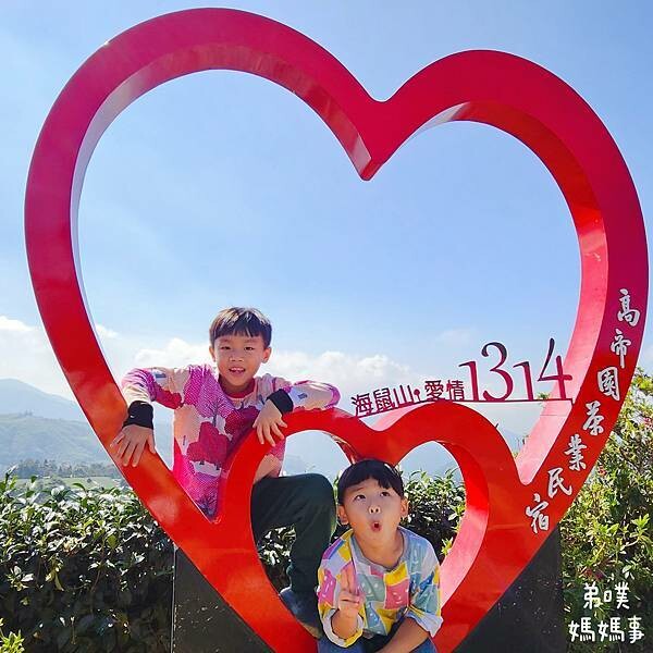 【嘉義】海鼠山1314觀景台