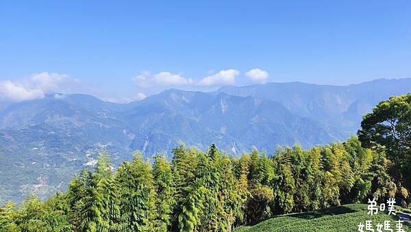 【嘉義】海鼠山1314觀景台