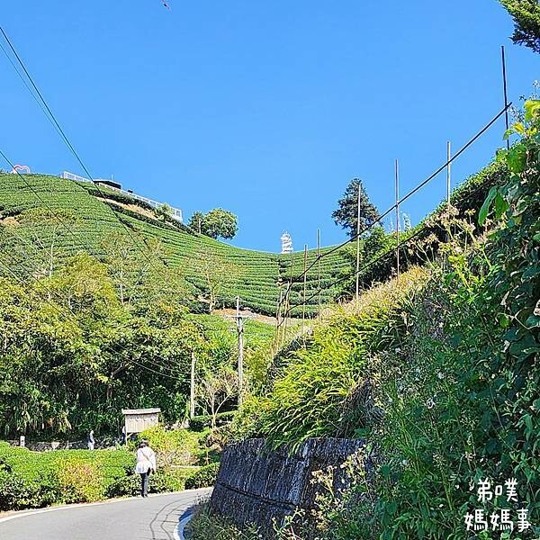 【嘉義】海鼠山1314觀景台