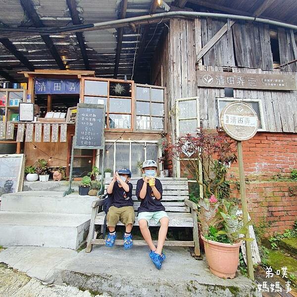 嘉義阿里山親子步道三天兩夜遊:奮起湖、石棹、二延平山步道、櫻之道、霞之道、石棹吳鳳廟、半天岩