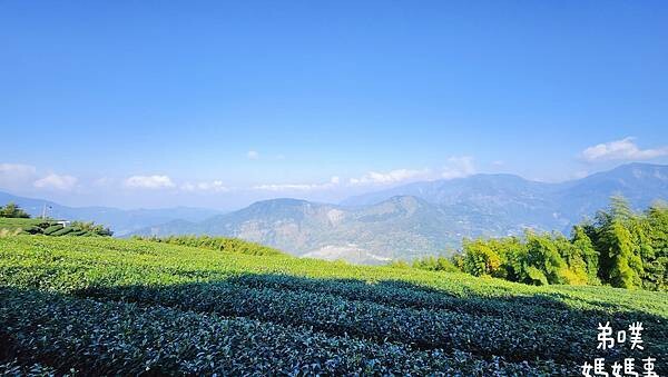 【嘉義】海鼠山1314觀景台
