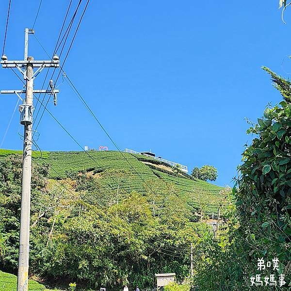 【嘉義】海鼠山1314觀景台