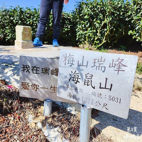 【嘉義】海鼠山1314觀景台