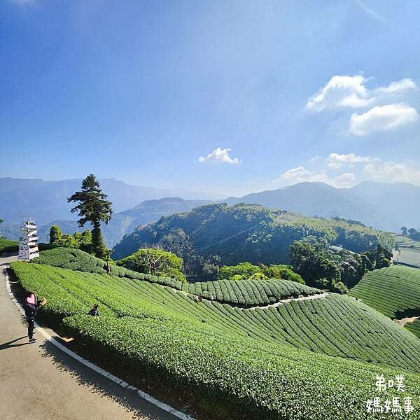 【嘉義】海鼠山1314觀景台