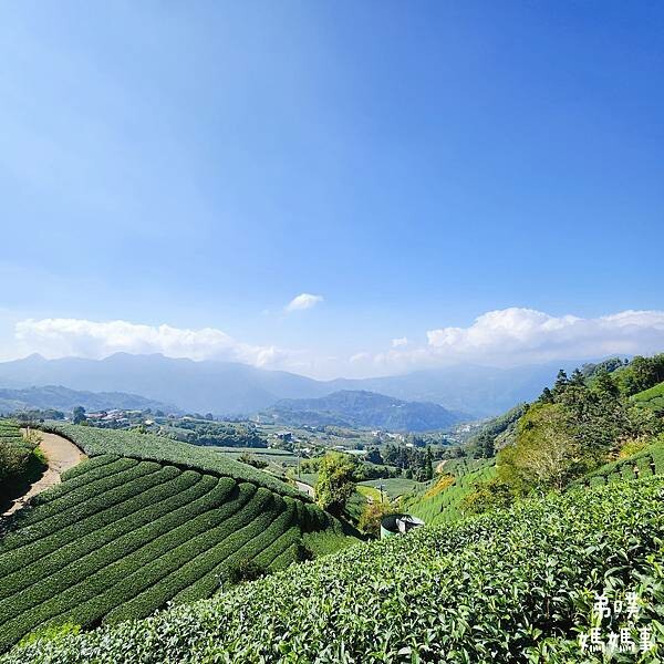 【嘉義】海鼠山1314觀景台