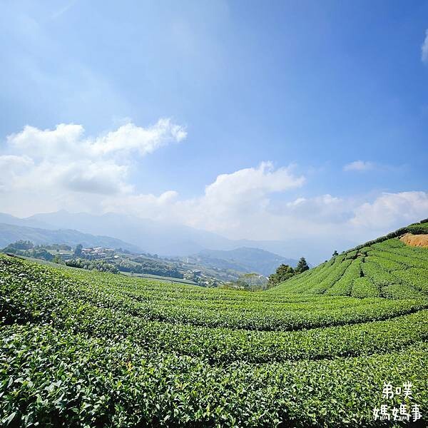 【嘉義】海鼠山1314觀景台