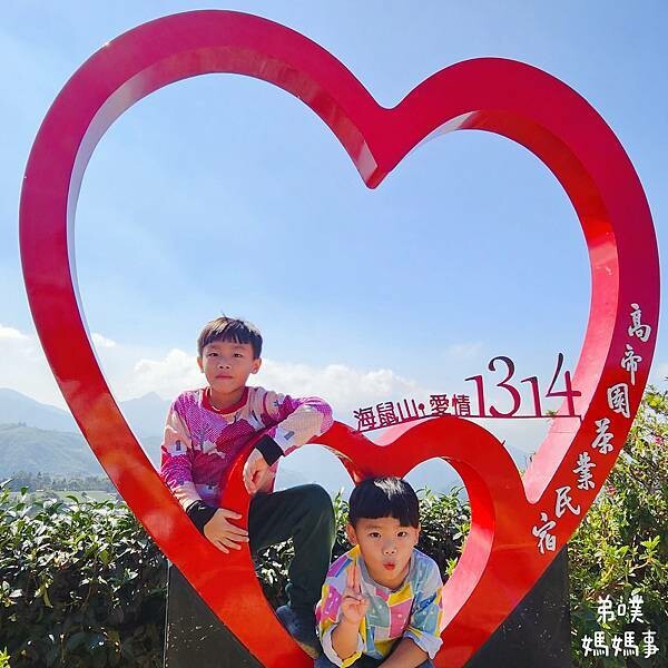 【嘉義】海鼠山1314觀景台