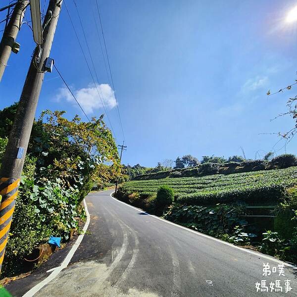 【嘉義】海鼠山1314觀景台