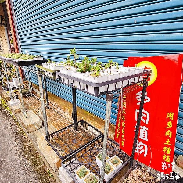 【嘉義‧梅山】多肉良心攤│縣道旁的多肉無人商店，自買自選自投錢